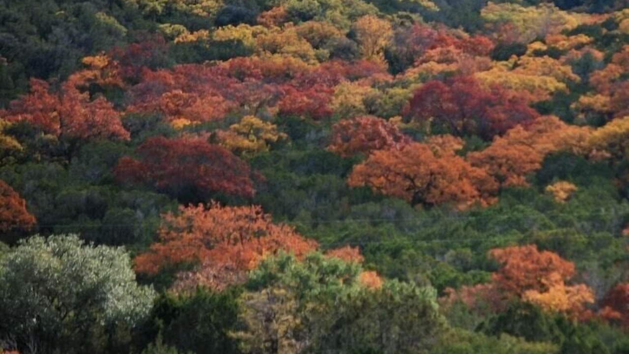 Photo of Outdoor in Leakey