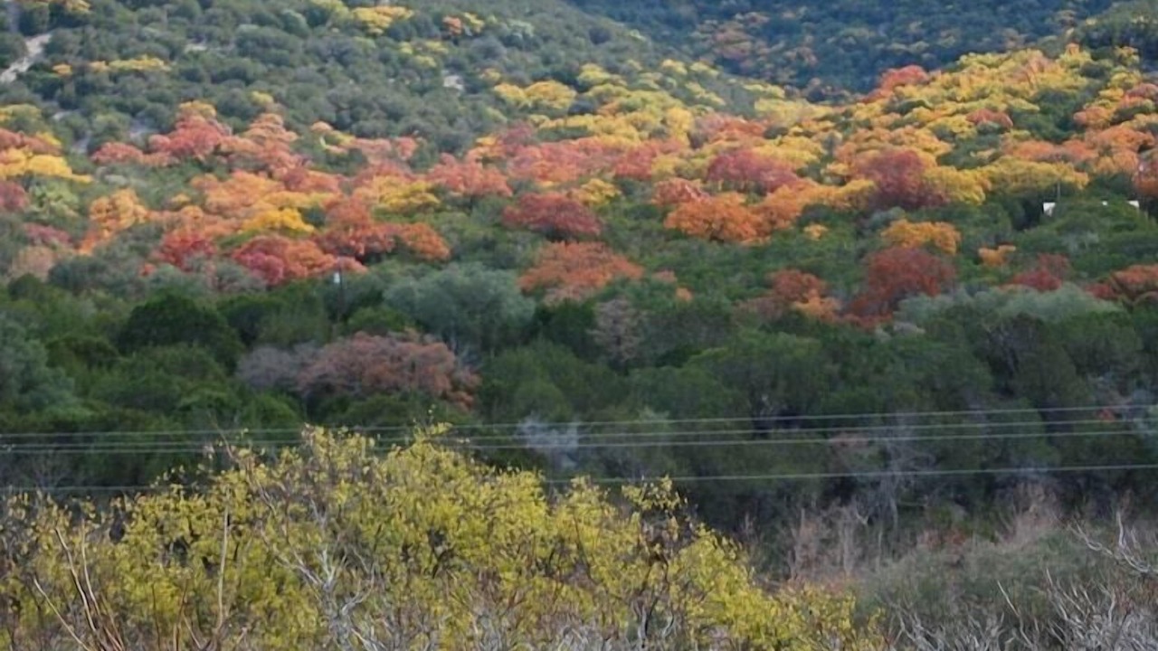Photo of Others in Leakey
