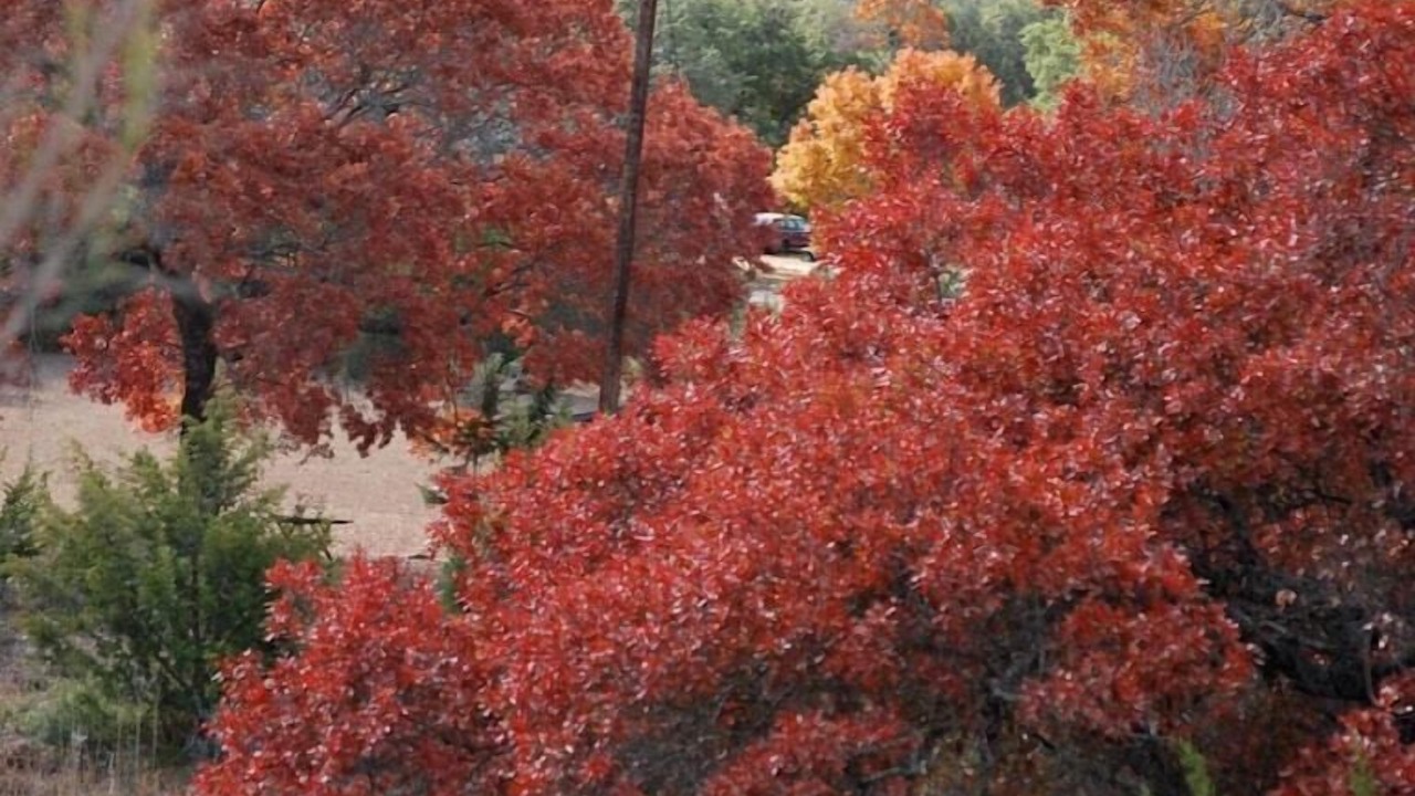 Photo of Outdoor in Leakey