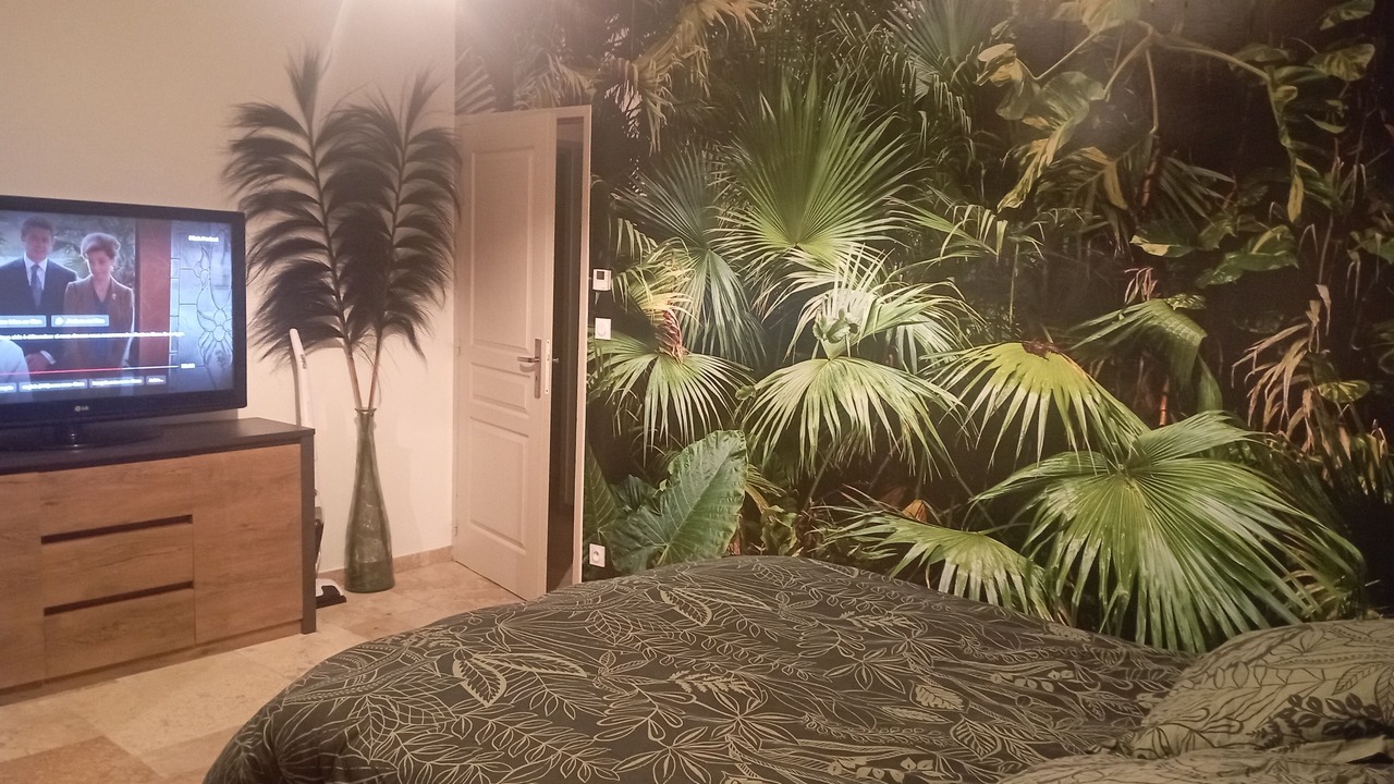 Photo of Bedroom in Sommieres