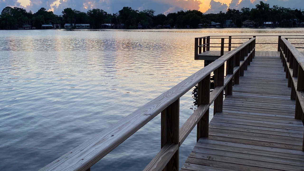 Photo of Others in Homosassa