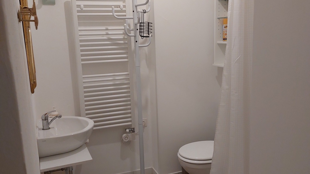 Photo of Bathroom in Sagno