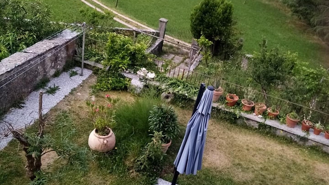 Photo of Outdoor in Sagno