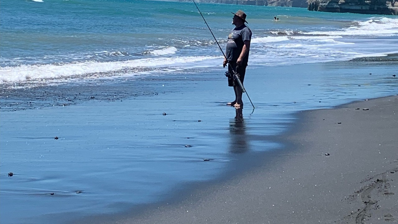 Photo of Others in Urenui