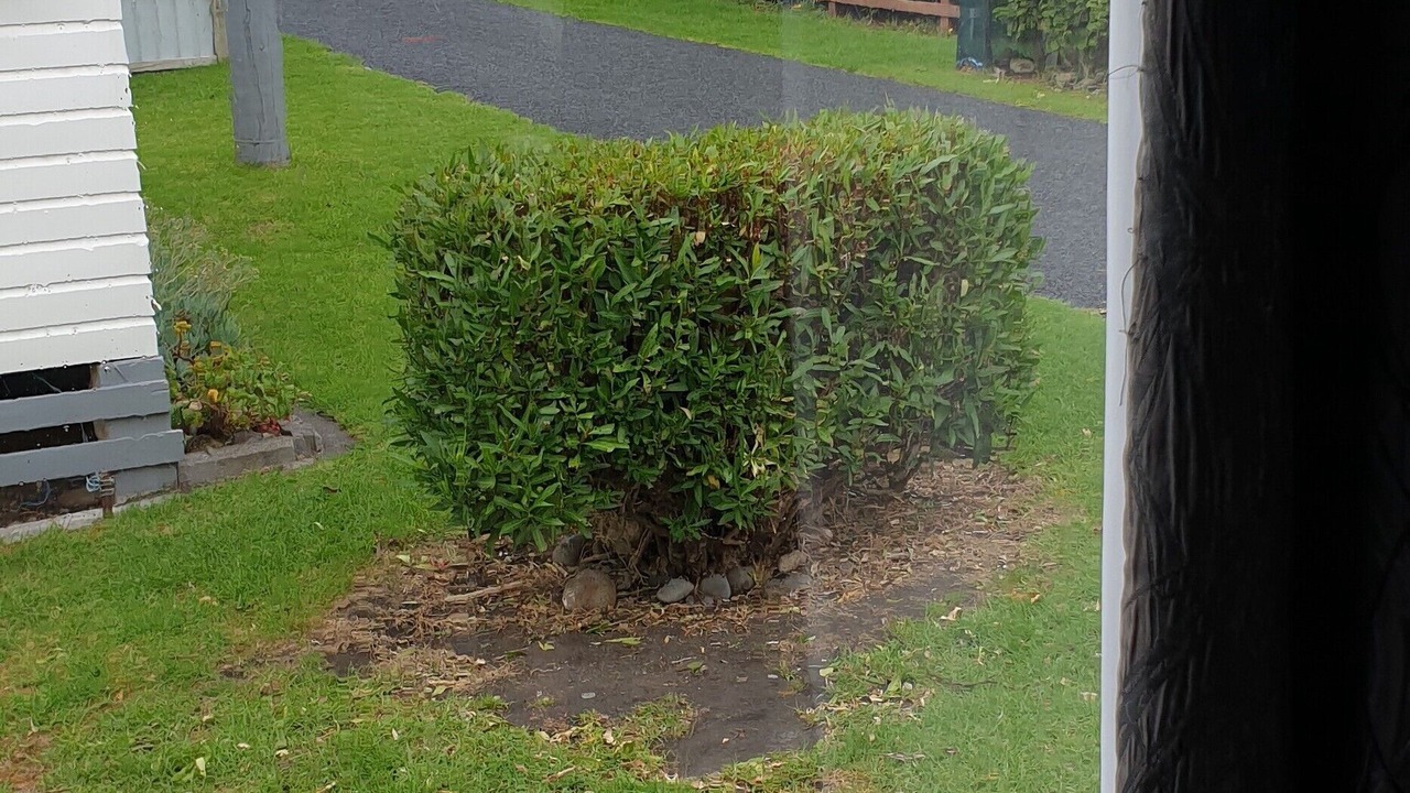 Photo of Others in Urenui