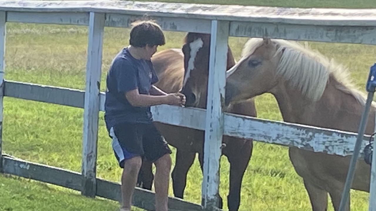 Photo of Others in East Moriches