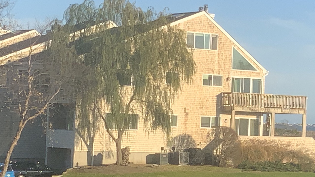 Photo of Outdoor in East Moriches