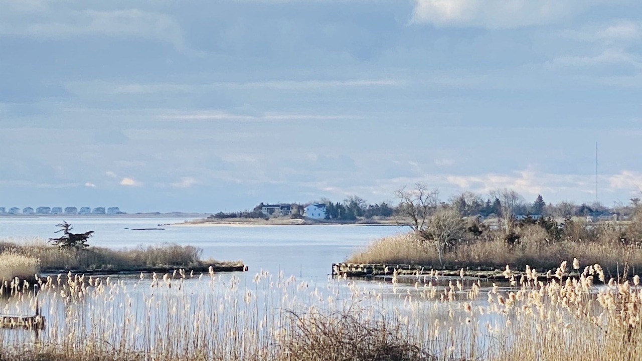 Photo of Others in East Moriches