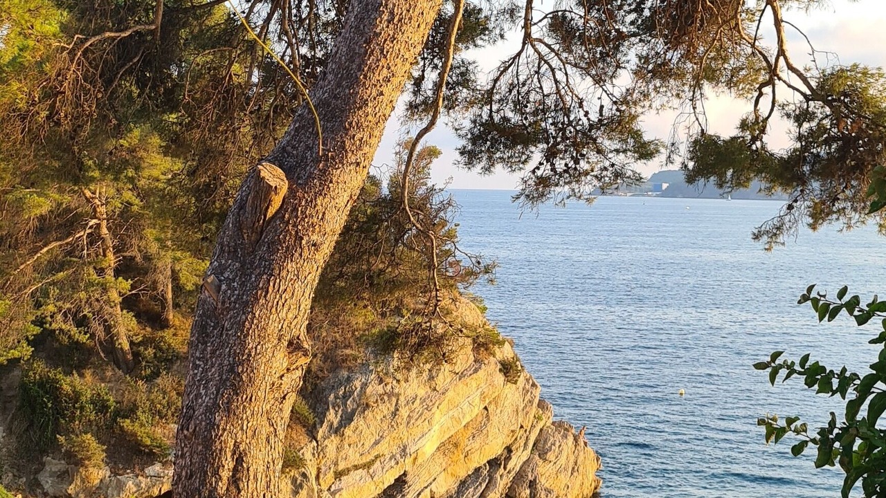 Photo of Outdoor in Le Mourillon