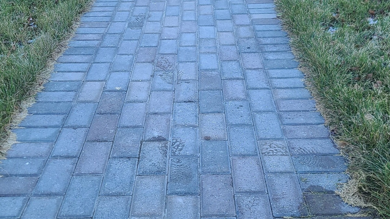 Photo of Outdoor in Pigeon