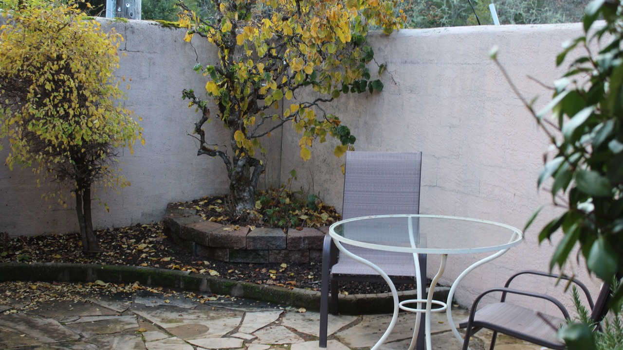 Photo of Outdoor in Willits