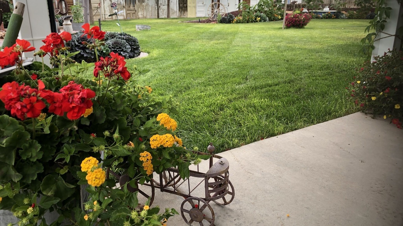 Photo of Outdoor in Utah County