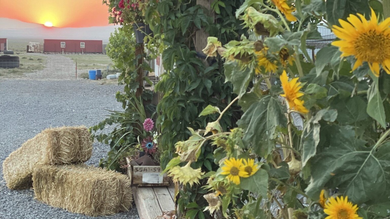Photo of Outdoor in Utah County