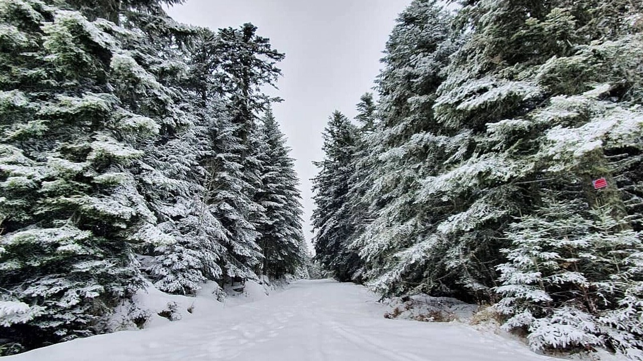 Photo of Outdoor in Chalmazel-Jeansagniere