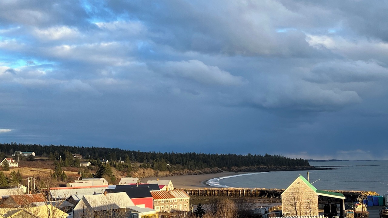 Photo of Others in Seal Cove