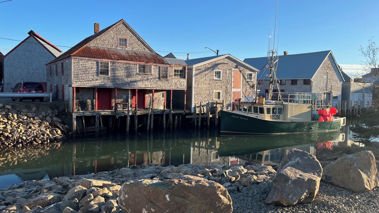 Photo of Others in Seal Cove