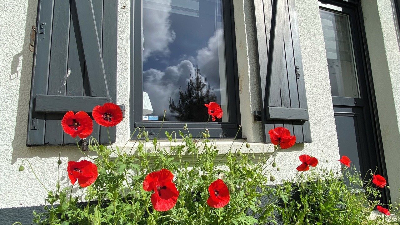 Photo of Outdoor in Neufchatel-Hardelot