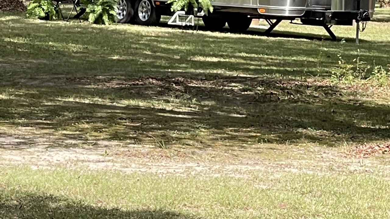 Photo of Outdoor in Rayville