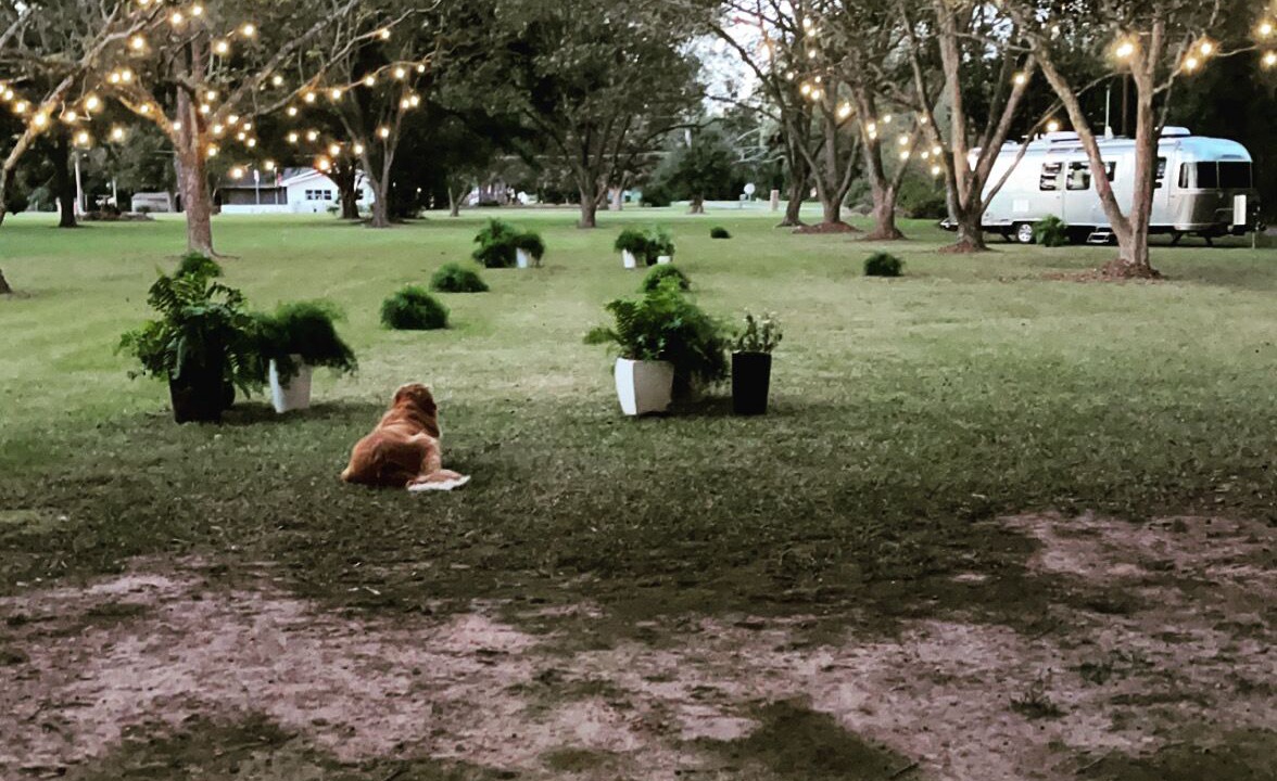 Photo of Outdoor in Rayville