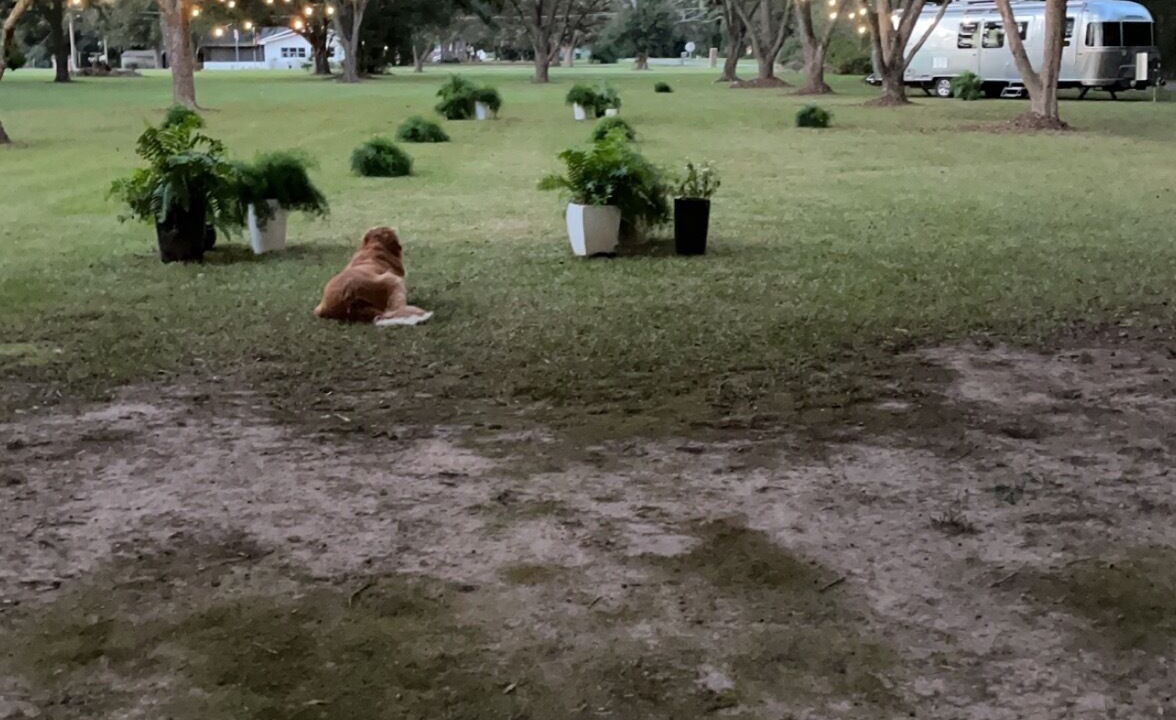 Photo of Outdoor in Rayville