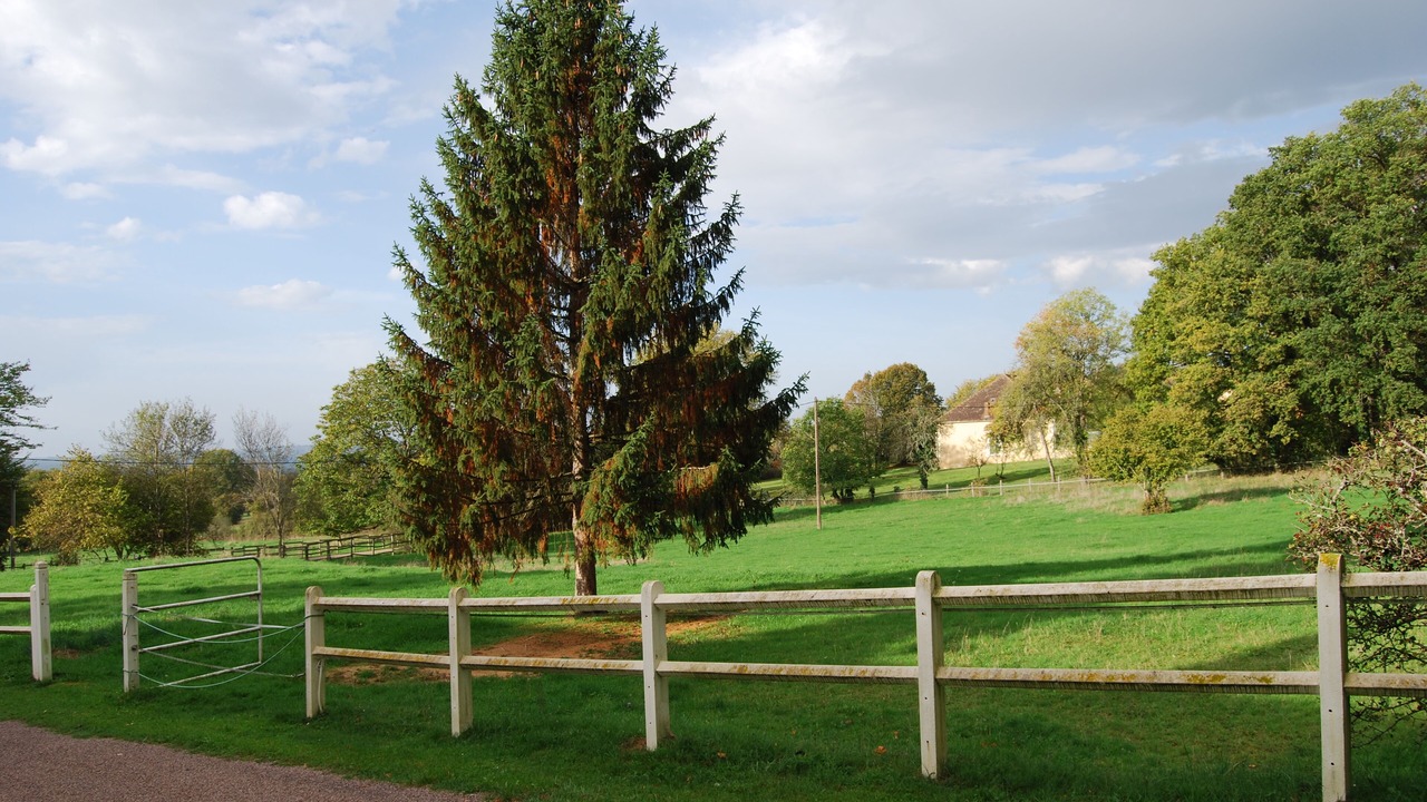 Photo of Outdoor in Diges