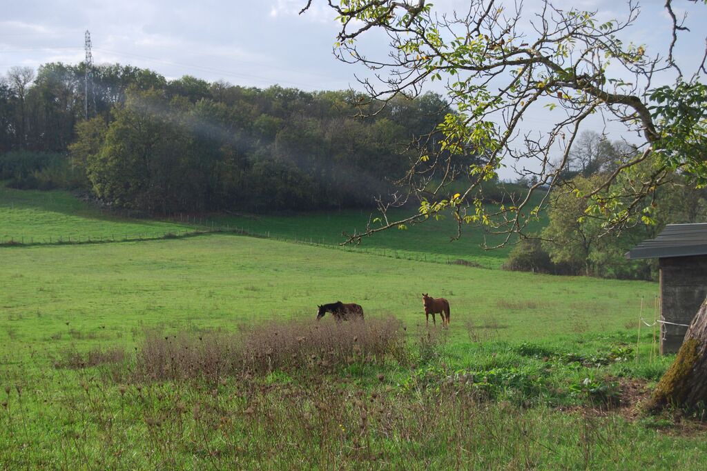 Photo of Outdoor in Diges