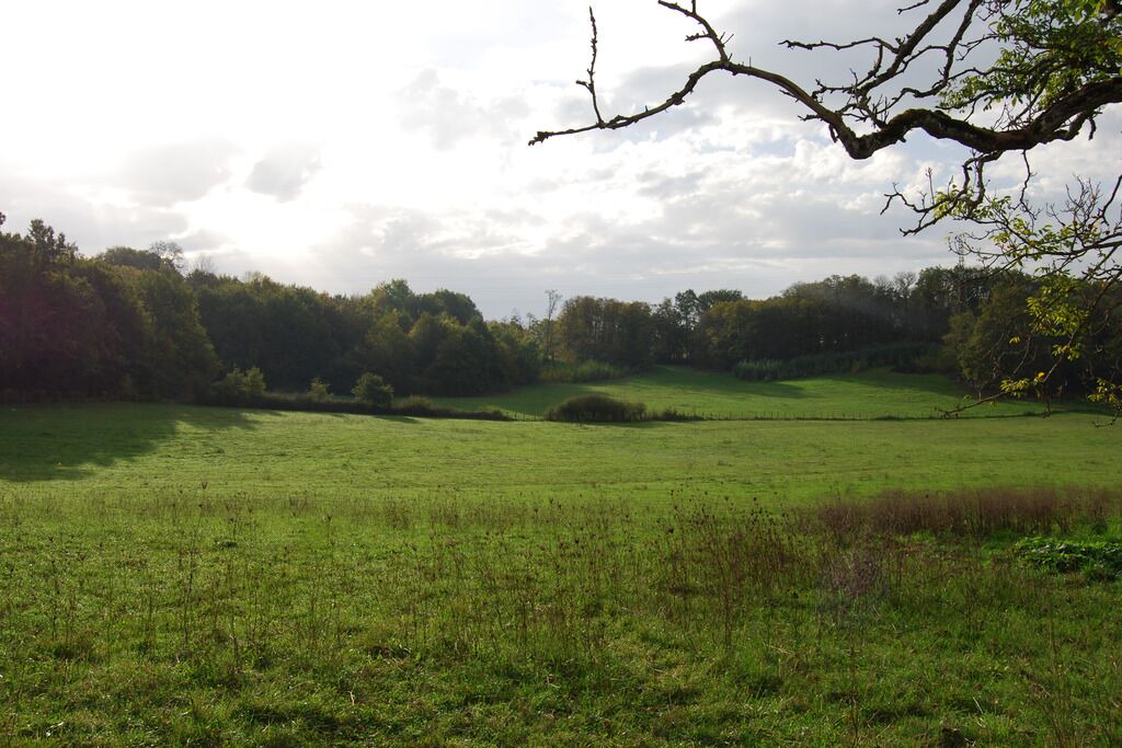 Photo of Others in Diges