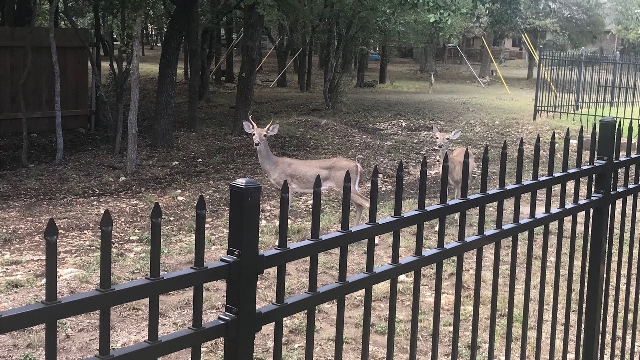 Photo of Others in San Marcos