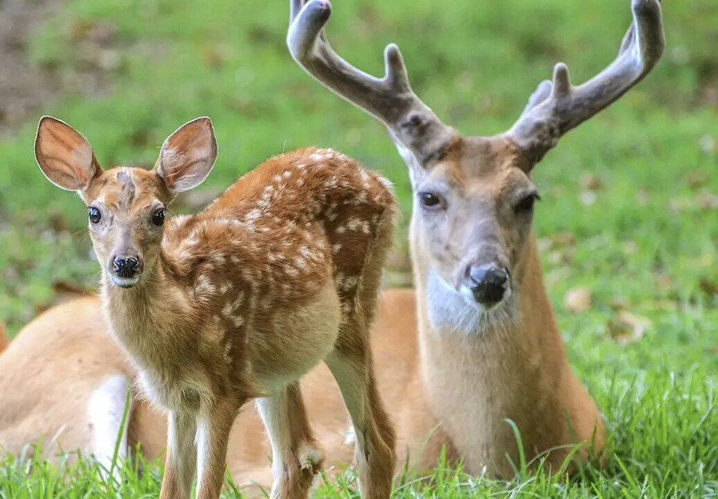 Photo of Others in San Marcos