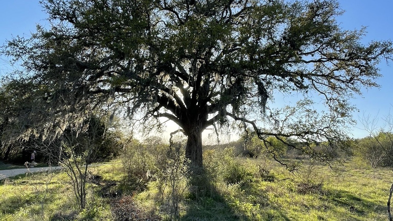 Photo of Outdoor in San Marcos