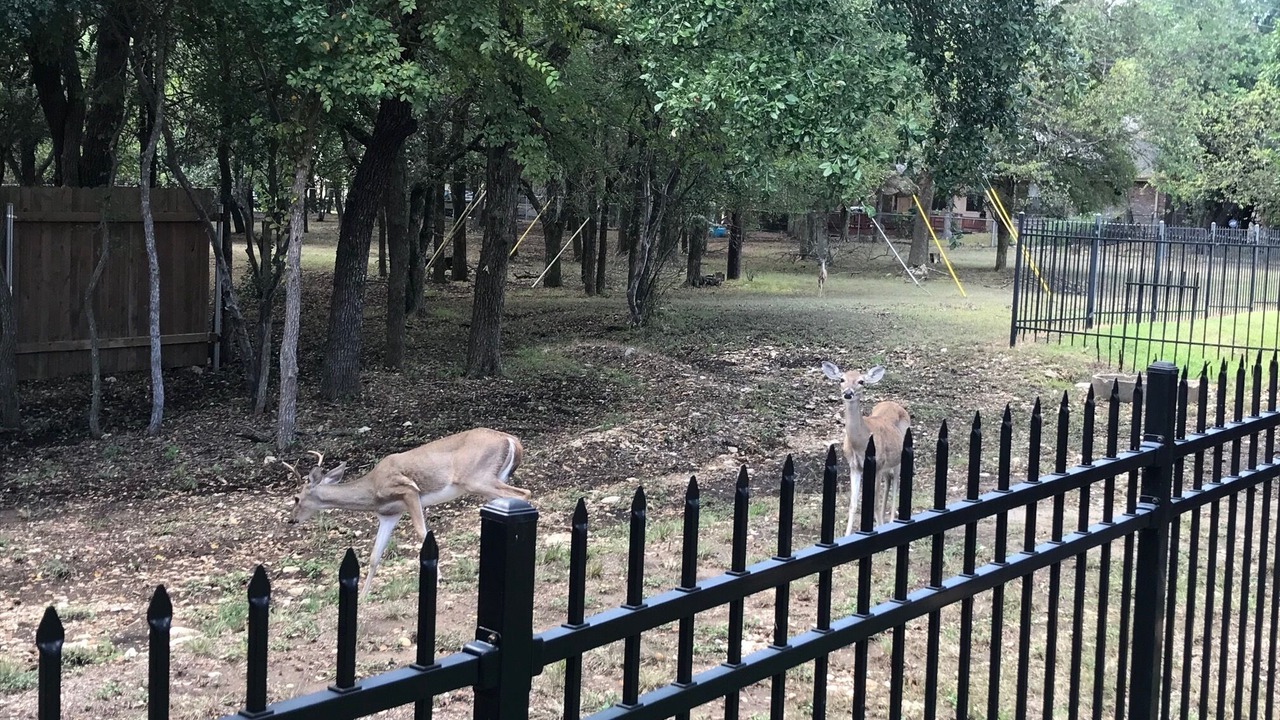 Photo of Outdoor in San Marcos