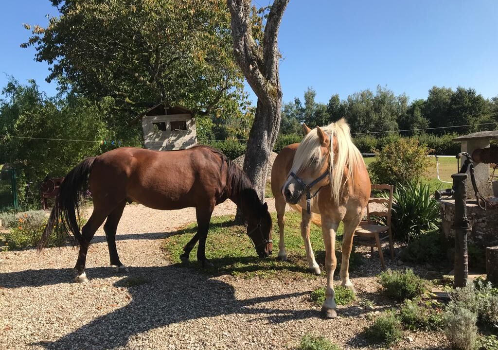 Photo of Outdoor in Montcony