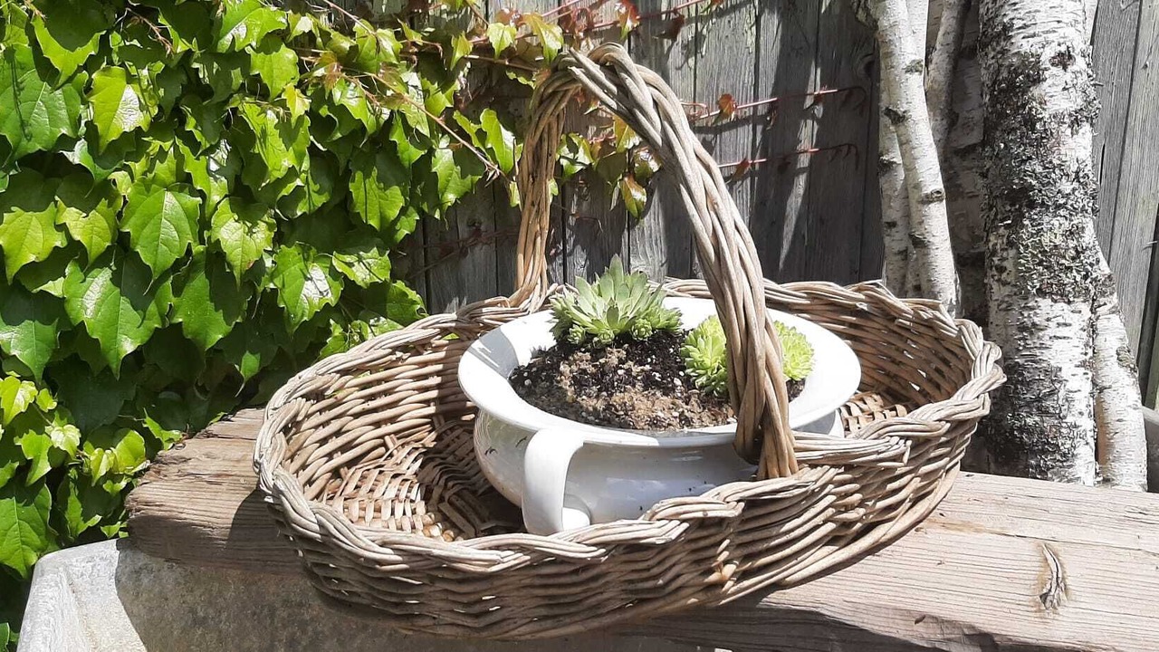 Photo of Outdoor in Montcony