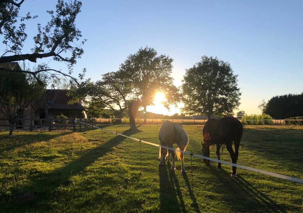 Photo of Outdoor in Montcony