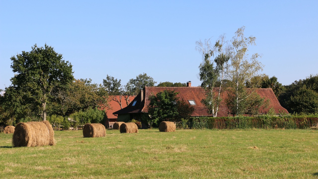 Photo of Outdoor in Montcony