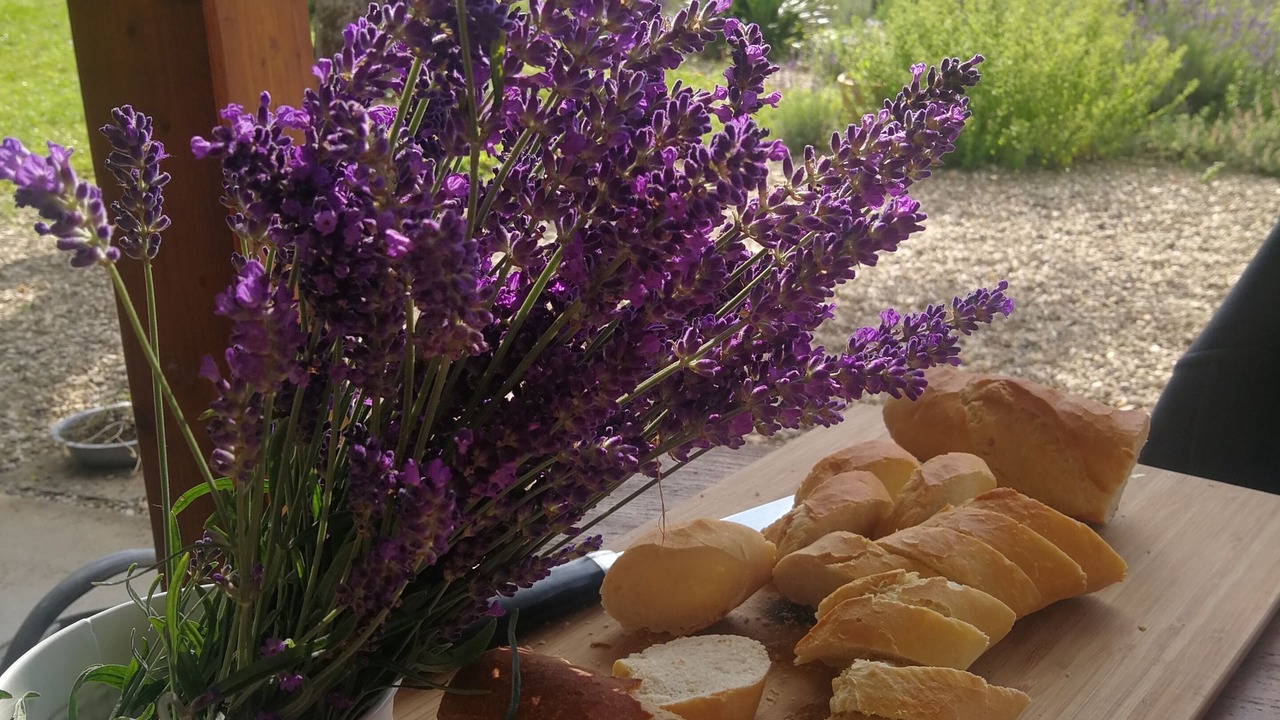 Photo of Outdoor in Montcony