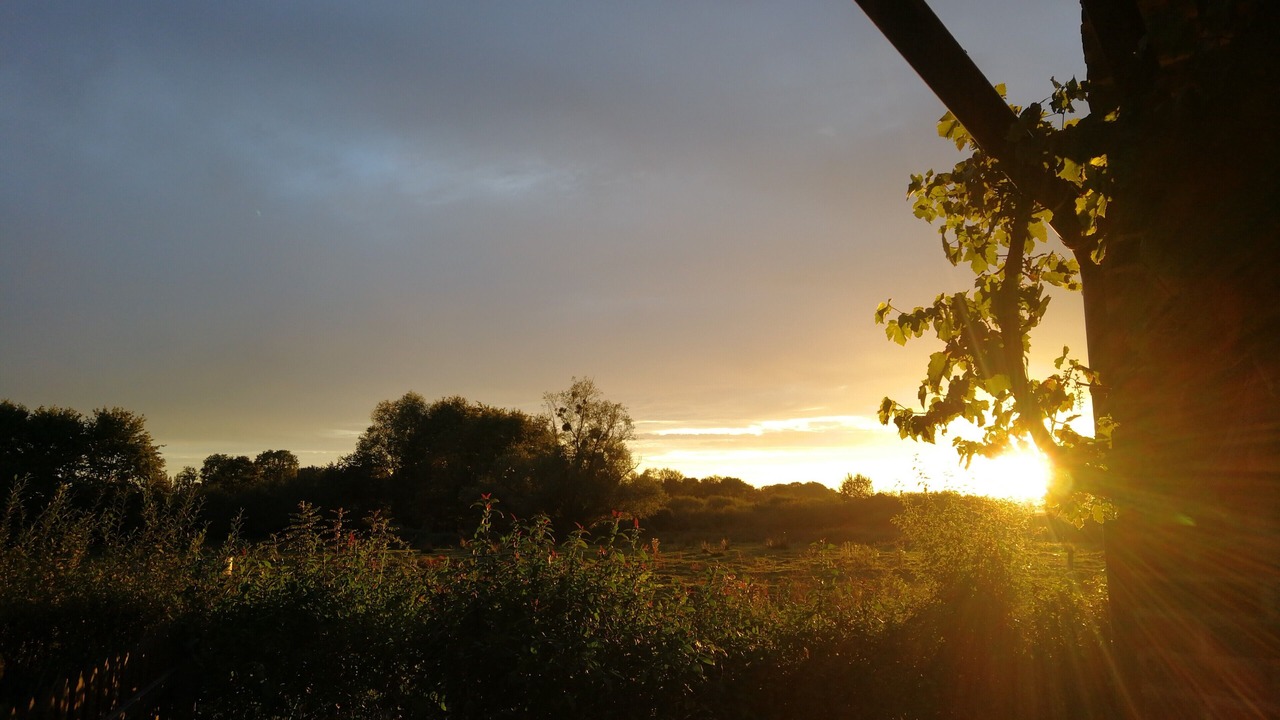 Photo of Outdoor in Montcony