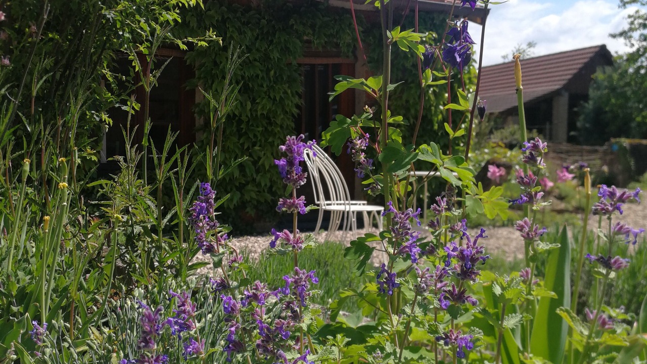 Photo of Outdoor in Montcony