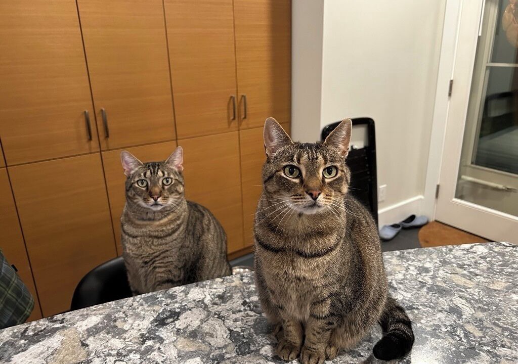 Photo of Others in Wallingford