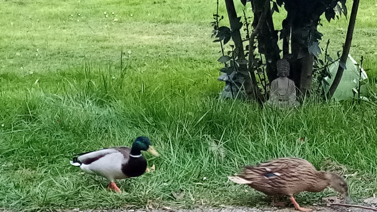 Photo of Outdoor in Neuilly
