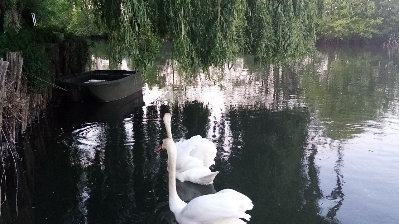 Photo of Outdoor in Neuilly