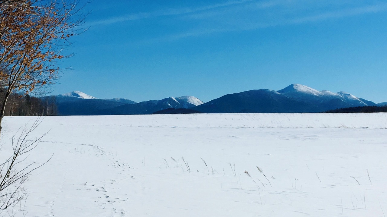 Photo of Others in Lake Placid