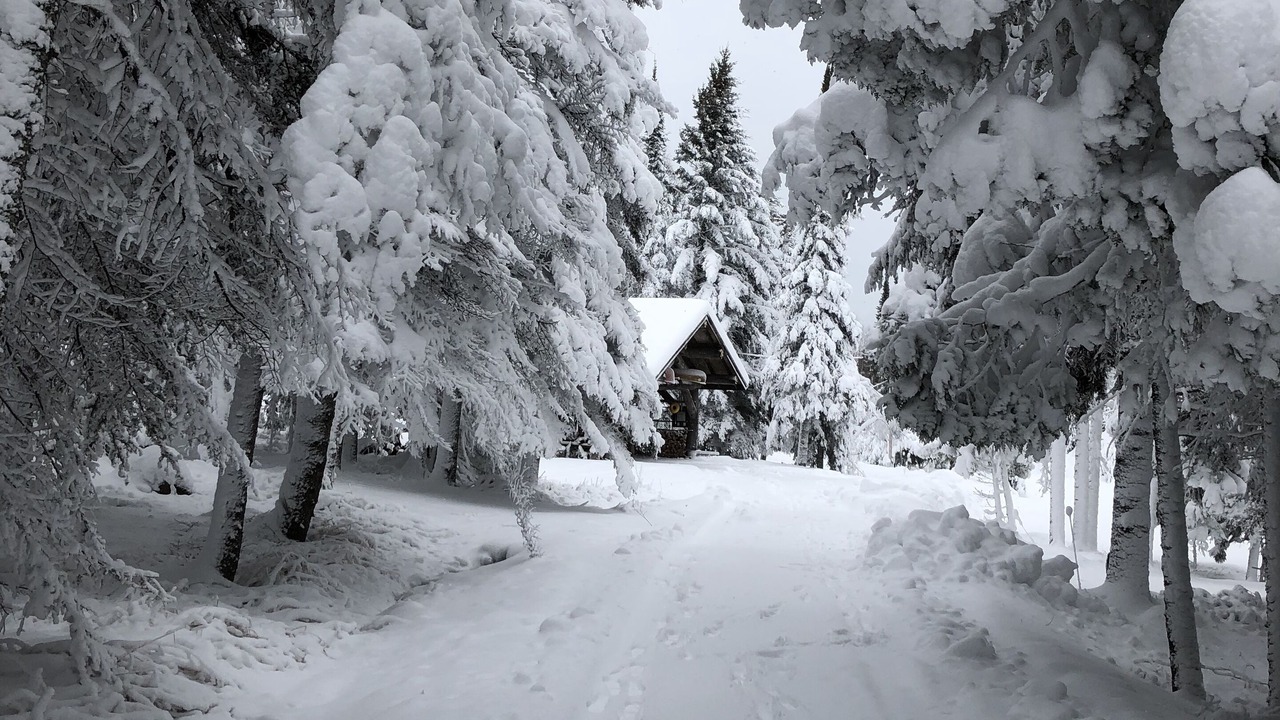 Photo of Others in Two Harbors