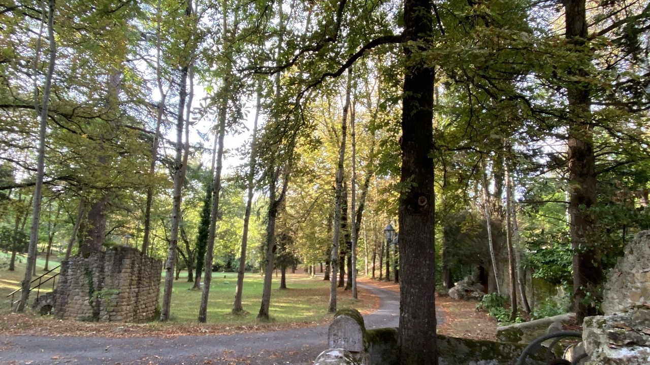 Photo of Bathroom in Mirepoix