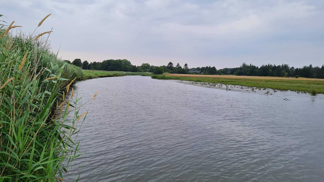 Photo of Others in Nordost