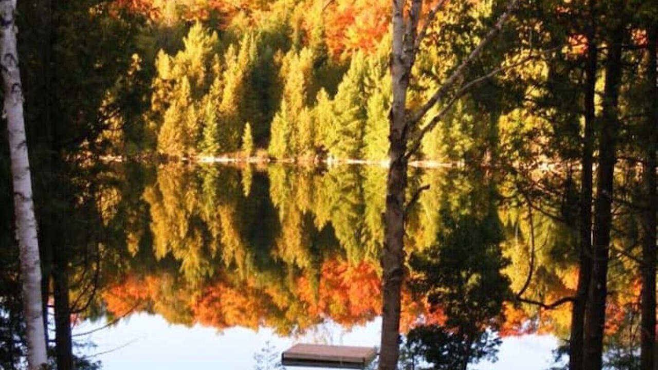 Photo of Outdoor in Irondale