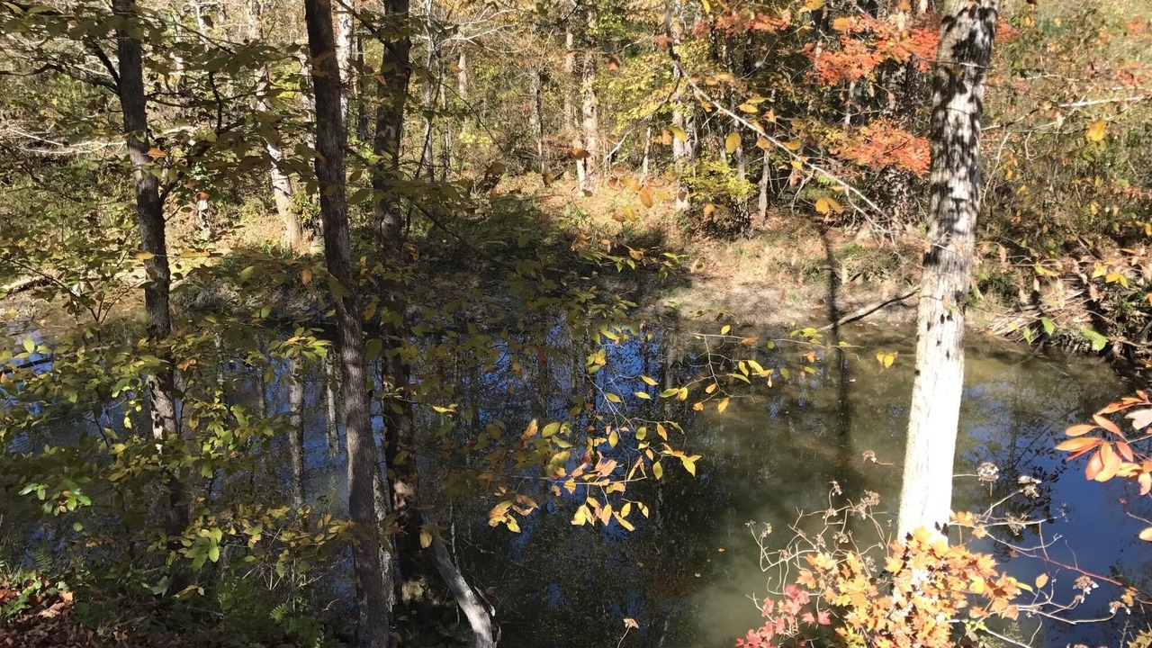 Photo of Outdoor in Wildwood Lake