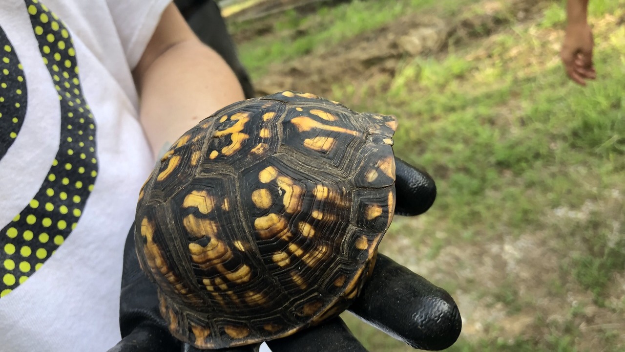 Photo of Others in Wildwood Lake