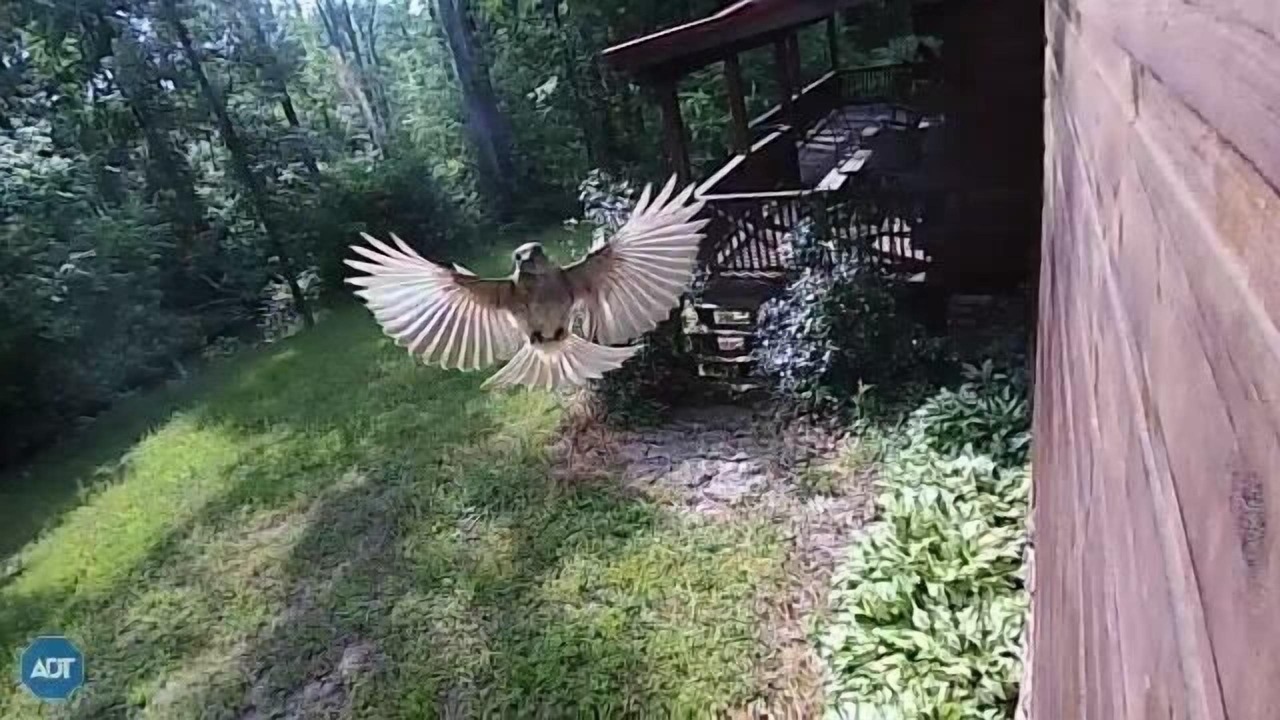 Photo of Outdoor in Wildwood Lake