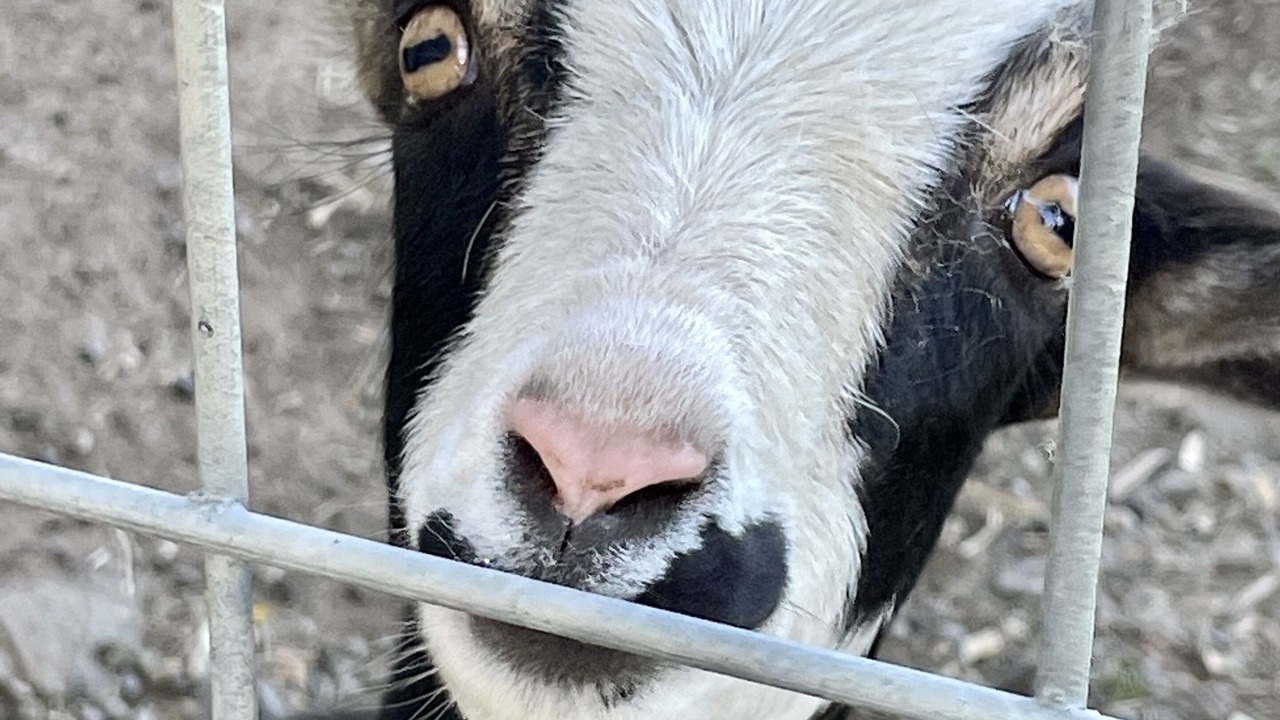 Photo of Outdoor in Marietta-Alderwood